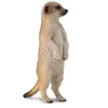 COLLECTA Stokstaartje - (S)