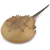 Collecta Speeldier Prehistorie Degenkrab 15 Cm Abs Bruin