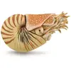 Collecta Speeldier Prehistorie Nautilus 10 Cm Abs Beige
