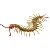 COLLECTA Duizendpoot - (L).
