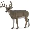 Collecta Animaux sauvages Cerf de Virginie 11 cm