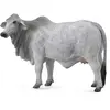 Figurine : Animaux de la ferme : Vache Brahmane Figurines Collecta