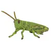Figurines Collecta - Insecte - Sauterelle
