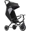 Smartrike Poussette Tricycle Wonder Max