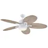 Ventilateur de plafond extérieur Oasis avec Lumière