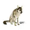 Hansa Peluche Geante Loup Assis 105cml