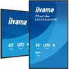 iiyama 42.5" LED - ProLite LH4364UHS-B1AG - Ecran dynamique 4K UHD