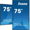 iiyama 74.5" LED - ProLite LH7565UHSB-B1 - Ecran dynamique 4K UHD