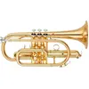 Yamaha YCR-4330GII kornet voor gemiddeld niveau Bb goudkleurig