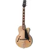 VOX Giulietta VGA-5TPS Natural Green Metallic semi-akoestische gitaar ...