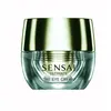 Kanebo Correcteur Even Better Eyes Dark Circle Corrector