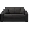 VENTE-UNIQUE Canapé 2 places convertible express en tissu EMIR - Anthr...