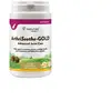 NaturVet ArthriSoothe-Gold pour chien - 70 bouchées à mâcher