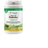 NaturVet Advanced Probiotics + pour chien - 70 bouchées à mâcher