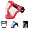 Gabrielle - Bouclier de protection complet visière Hd masque complet t...