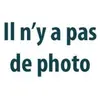 Van Wezel Dekplaat remschijf
