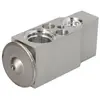 International Radiators Expansieventiel