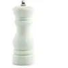 Merkloos / Sans marque Peper- of zoutmolen Pepe Groen 14 cm