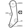 Distributieriem 5544XS Gates