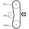 Gates Distributieriem