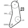 Distributieriem 5041 Gates