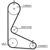 Distributieriem 5103 Gates