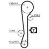 Gates Distributieriem