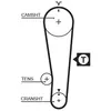 Distributieriem 5284XS Gates