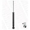 Monroe Schokdemper