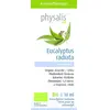 Physalis Eucalyptus radiata bio (10ml)