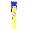 Duvoplus - Dierenkleding - Hond - Halsband Nylon Licht Usb 40-55cm/2,5...