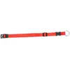 Duvo+ Nylon halsband verstelbaar Rood 22/35 cm - 10 mm