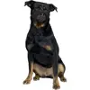 Duvoplus - Muilkorf - Hond - Muilband Nylon 57-83cm - 1st
