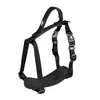 Duvoplus - Hondentuigje - Hond - Explor North Harnas Nylon S 30-40cm/1...