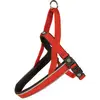 Explorer hondentuig DUVO model borsttuig  medium 50-65 cm rood