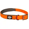 Duvoplus - Halsband Voor Dieren - Hond - Explor South Halsband Pvc L 35-55cm/20mm Neon Oranje - 1st