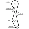 Distributieriem 5633XS Gates