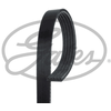 Gates Multiriem