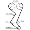 GATES Courroie de distribution pour PEUGEOT: 307, 206, 407, Expert, 80...