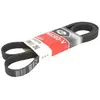 Multiriem 6PK2175 Gates