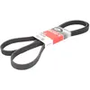 Gates Multiriem