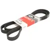 Gates Multiriem