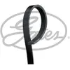 Gates Multiriem