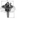 Gates HOMPER - 4 mousquetons en acier inoxydable 304 pour randonnée, hamac, laisse pour chien, 60 mm x  6 mm, mousqueton, porte-clés, crochet d'escalade