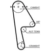 Distributieriem 5593XS Gates