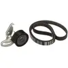 Gates Multiriem set