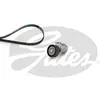 GATES Kit de courroie d'accessoire pour VOLKSWAGEN: New Beetle, Lupo, ...