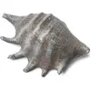 Grand coquillage gris 12 cm