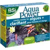 BSI - Aqua Power - Anti-algue - Clarifiant pour Bassins et Étangs - 40...