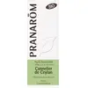 Pranarom Huile Essentielle Bio Cannelier de Ceylan 5ml